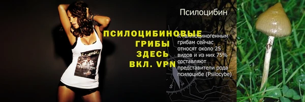 дживик Армянск
