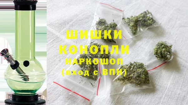 СК Аркадак