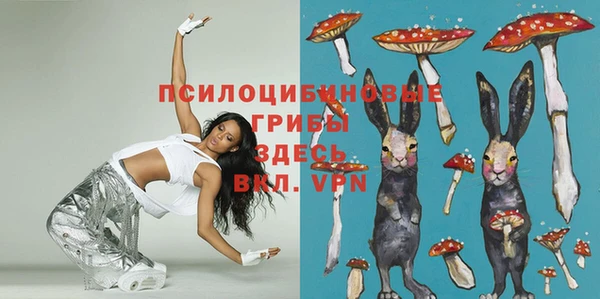 СК Аркадак