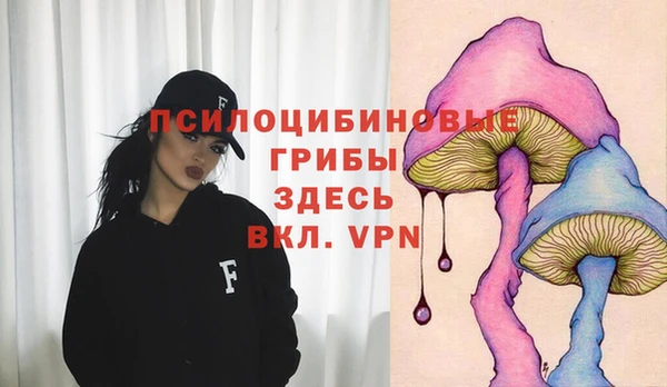 дживик Армянск