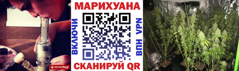 Шишки марихуана Amnesia  Шацк 